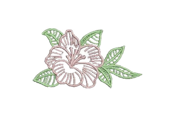 Hibiscus Outline Flower Review