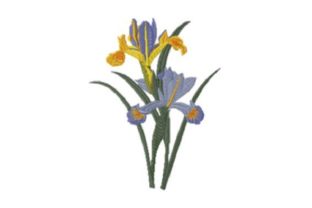 Iris Beauty Embroidery Design