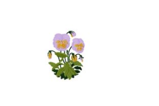 Pansy Embroidery Design Review