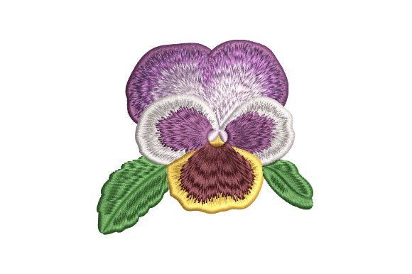 Pansy Flower Bud