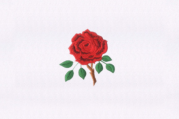 Thorny Red Rose Review